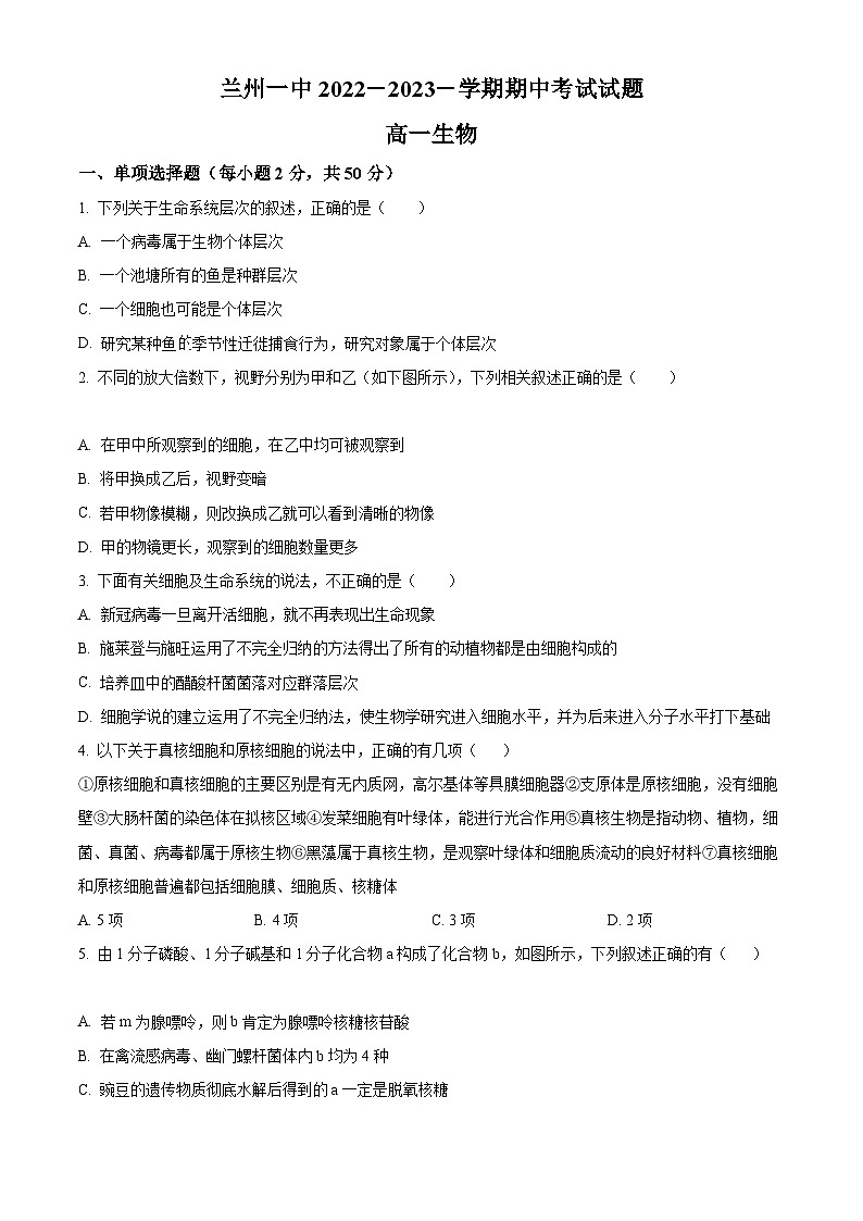 【期中真题】甘肃省兰州市一中学2022-2023学年高一上学期期中生物试题（原卷版）第1页