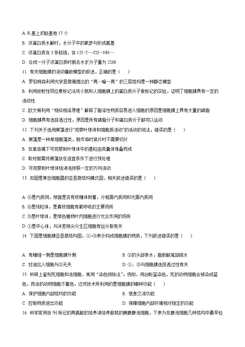 【期中真题】甘肃省兰州市一中学2022-2023学年高一上学期期中生物试题（原卷版）第3页