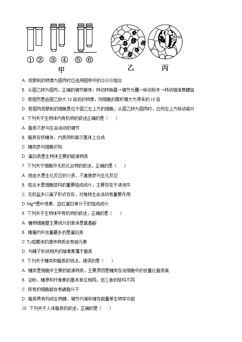 【期中真题】福建省福州市八县（市、区）一中2021-2022学年高一上学期期中联考生物试题（原卷版）第2页