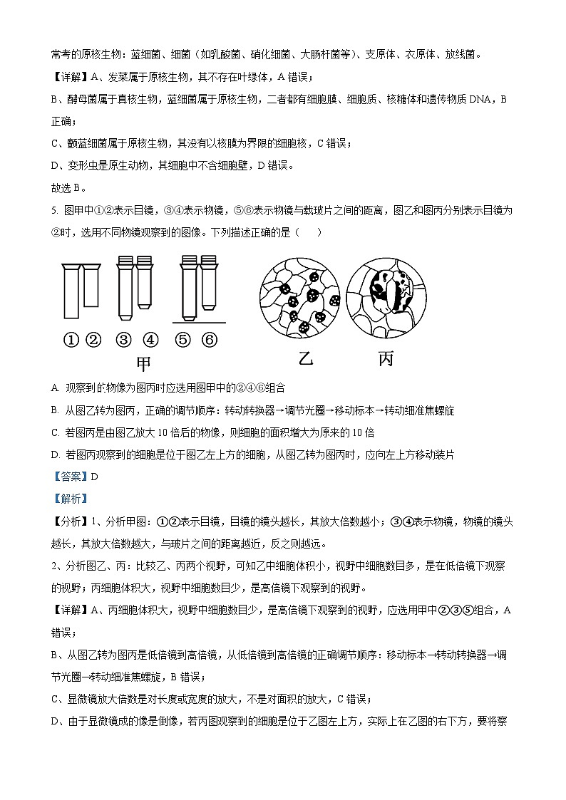 【期中真题】福建省福州市八县（市、区）一中2021-2022学年高一上学期期中联考生物试题（解析版）第3页
