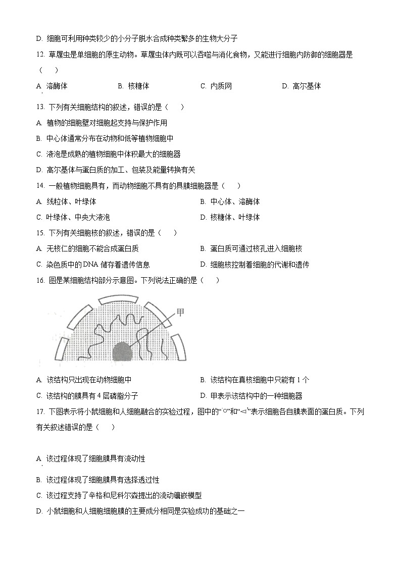 【期中真题】贵州省高一上学期期中联合考试生物试题03