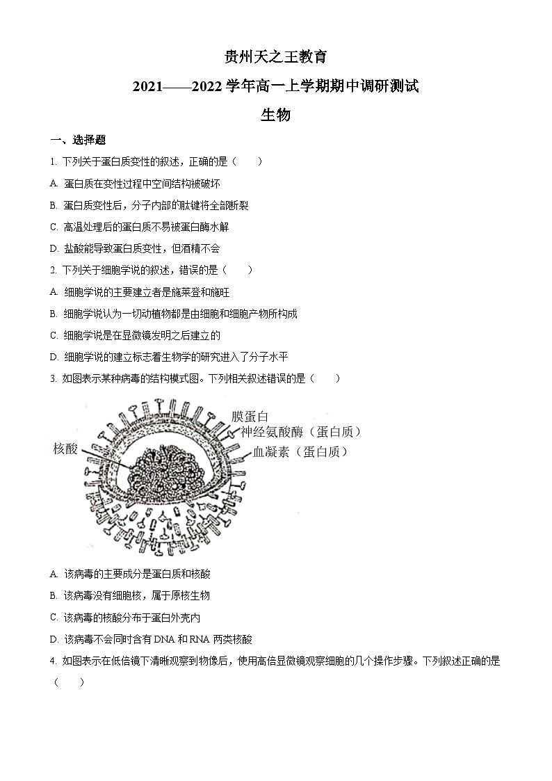 【期中真题】贵州省贵阳市高一上学期期中调研生物试题01