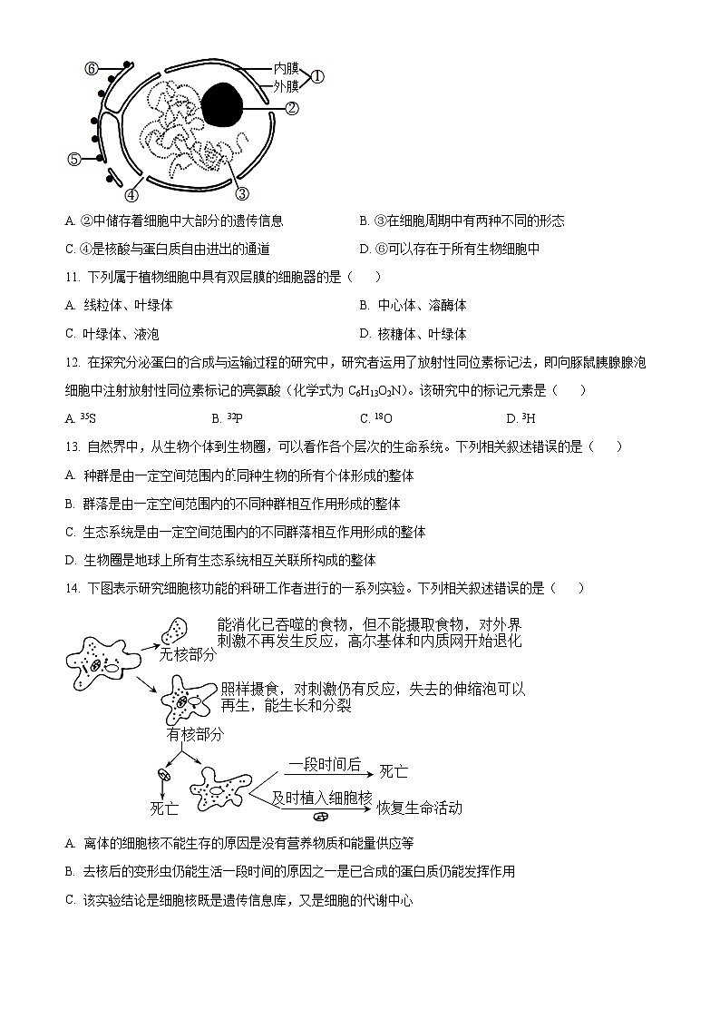 【期中真题】贵州省遵义市高一上学期期中生物试题03