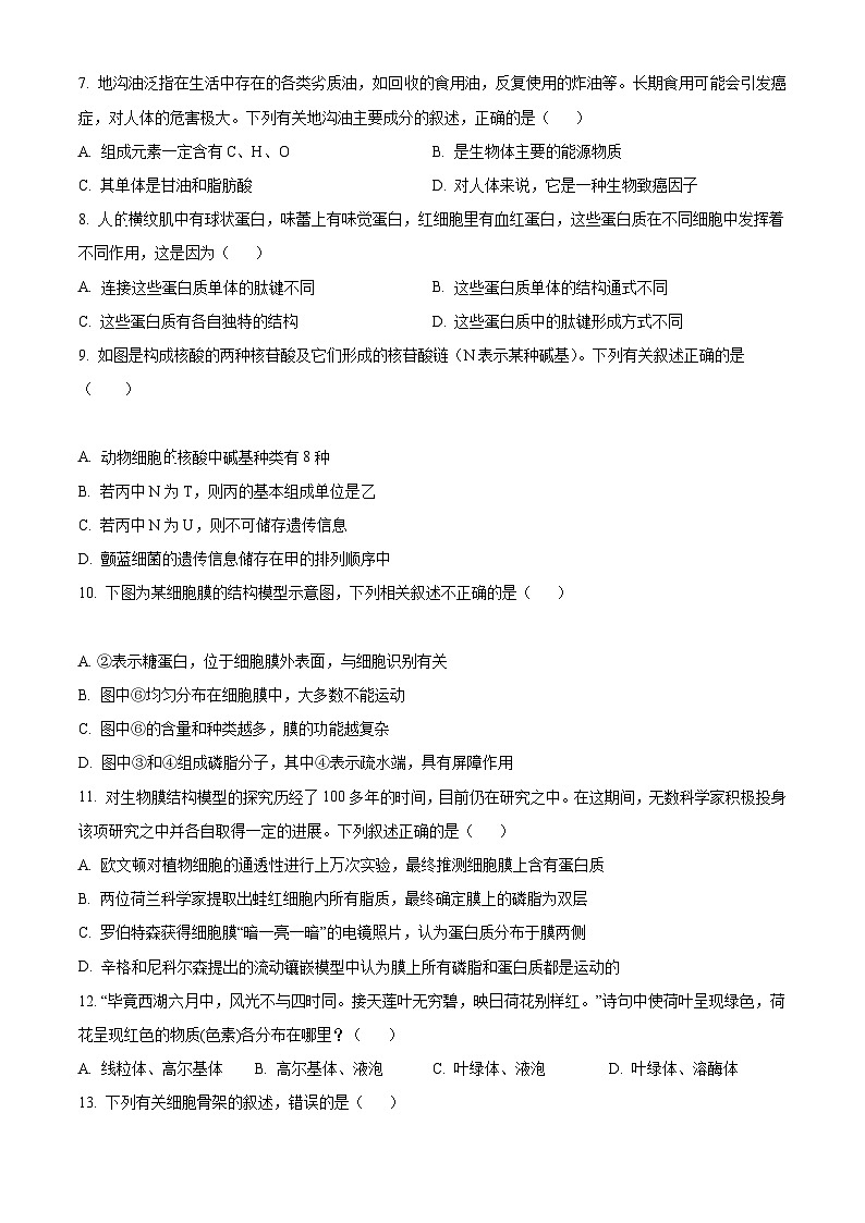【期中真题】陕西省咸阳市武功县2022-2023学年高一上学期期中质量调研生物试题（原卷版）第2页