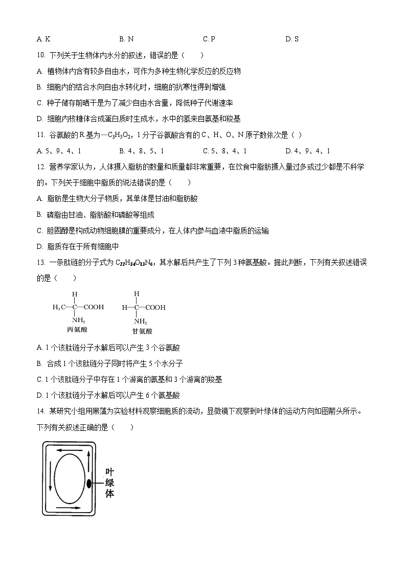 【期中真题】黑龙江省佳木斯市一中高一上学期期中生物试题03