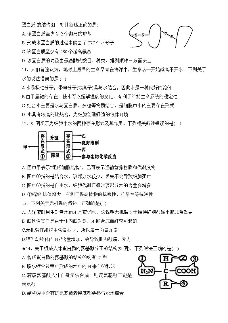 湖南省岳阳县第一中学2023-2024学年高一上学期第一次月考生物试题03