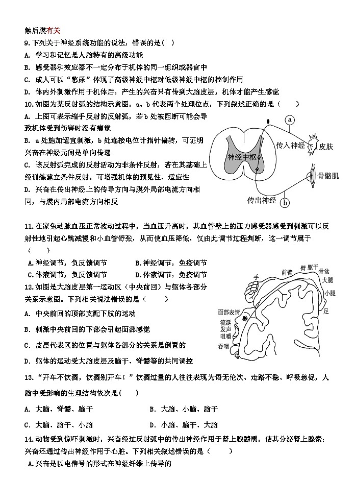广东省大埔县虎山中学2023-2024学年高二上学期10月期中生物试题第3页