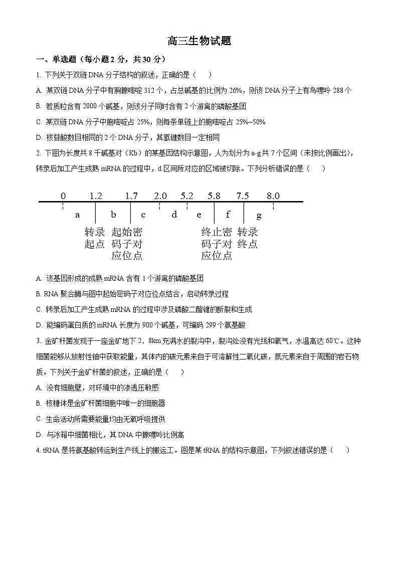 山东省菏泽市鄄城县第一中学2024届高三上学期10月月考生物第1页