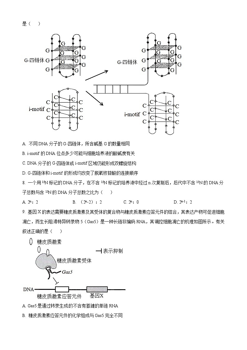 山东省菏泽市鄄城县第一中学2024届高三上学期10月月考生物第3页