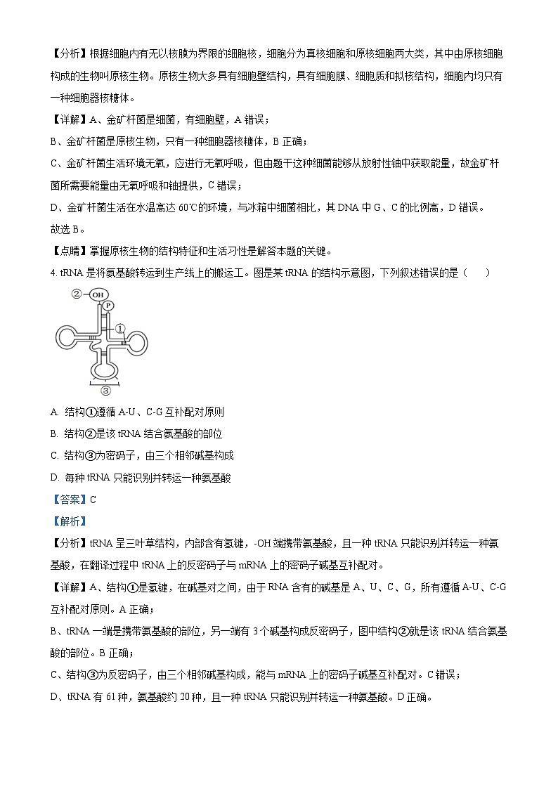 山东省菏泽市鄄城县第一中学2024届高三上学期10月月考生物答案第3页