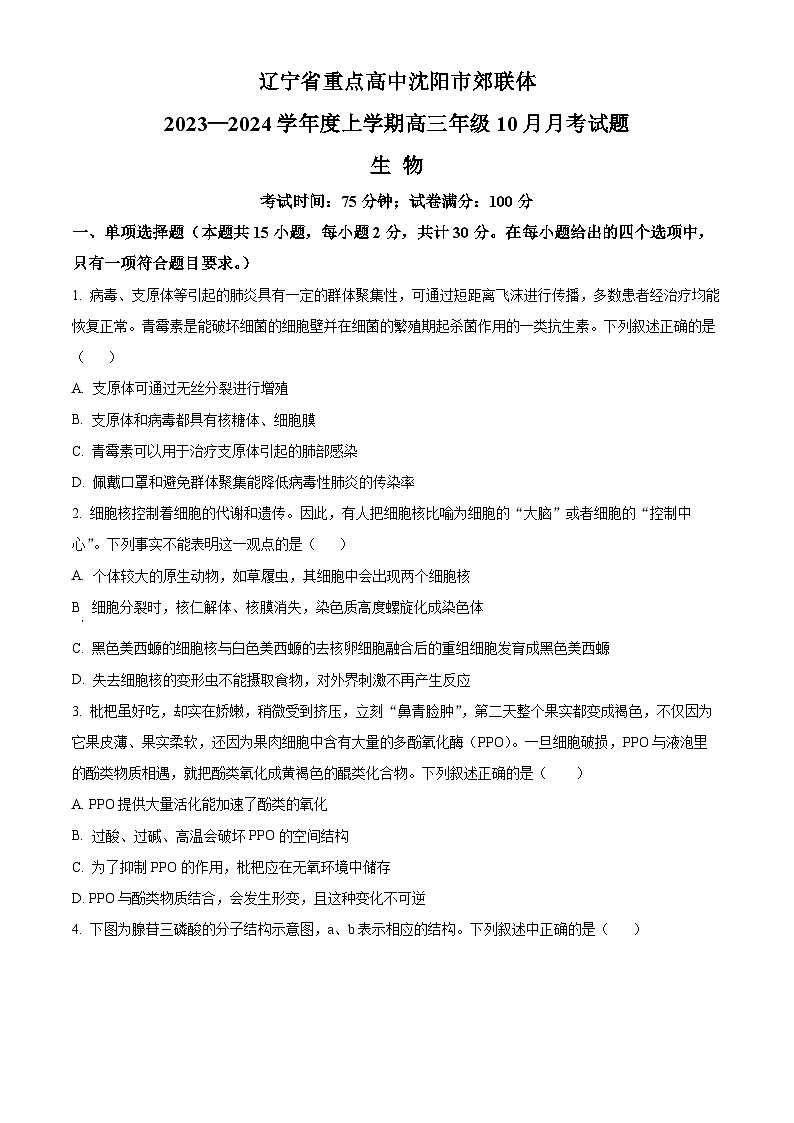 辽宁省重点高中沈阳市郊联体2023-2024学年高三上学期10月月考生物第1页