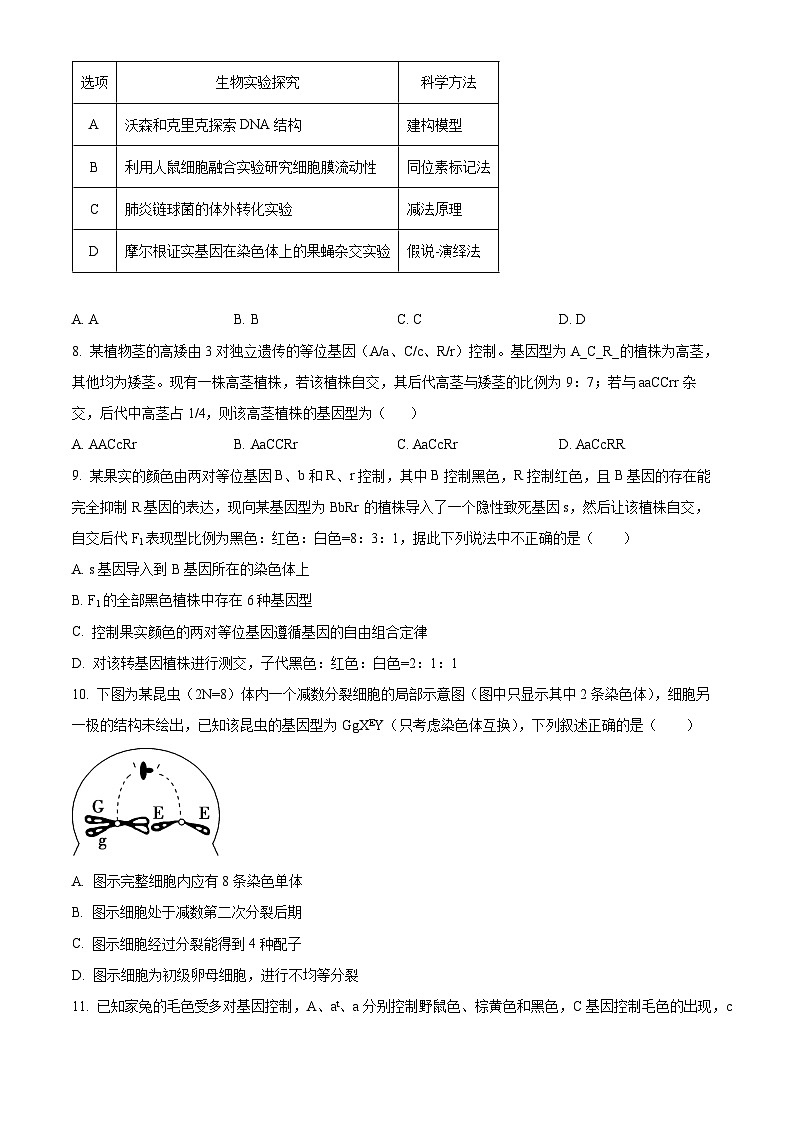 辽宁省重点高中沈阳市郊联体2023-2024学年高三上学期10月月考生物第3页