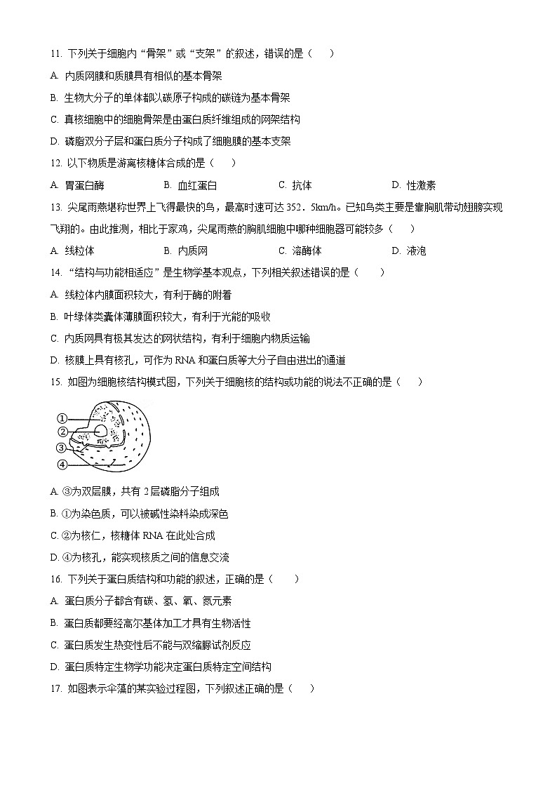 浙江省台州市路桥中学2023-2024学年高一10月月考生物试题无答案第3页