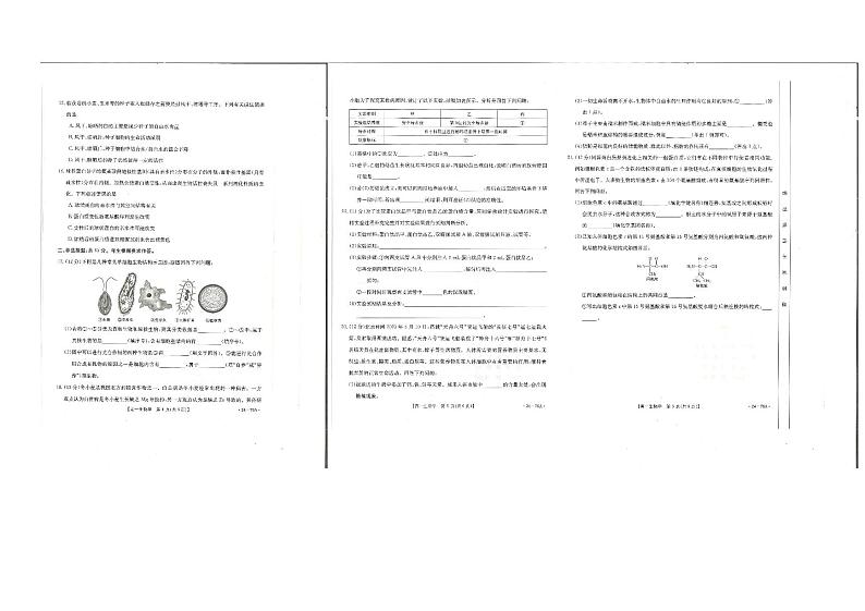 2024深圳名校高一上学期期中联考试题生物PDF版含解析第2页