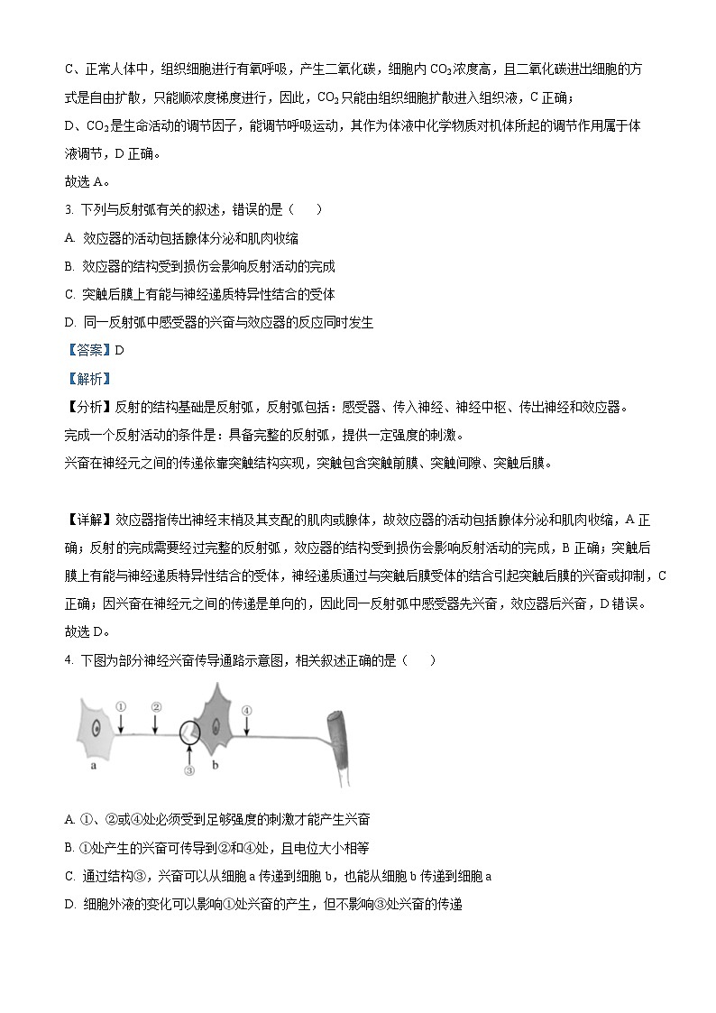 福建省厦门市一中2022-2023学年高二生物上学期期中试题（Word版附解析）第2页