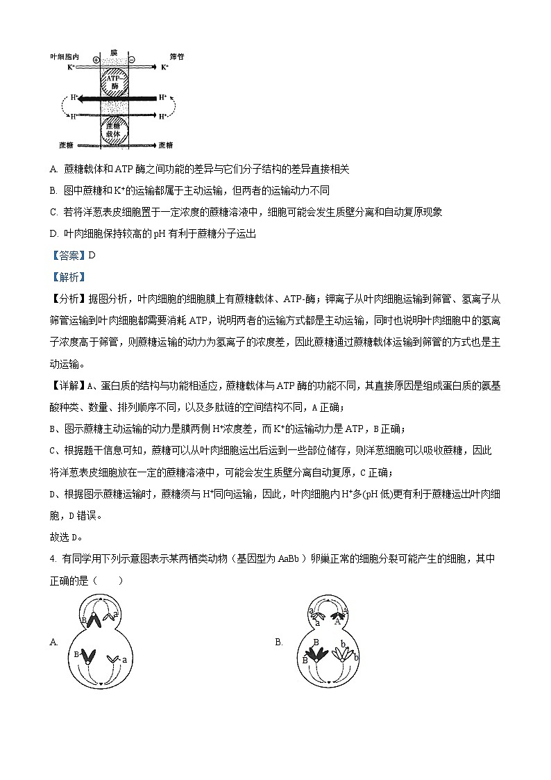 福建省厦门市一中2022-2023学年高三生物上学期11月期中试题（Word版附解析）第3页