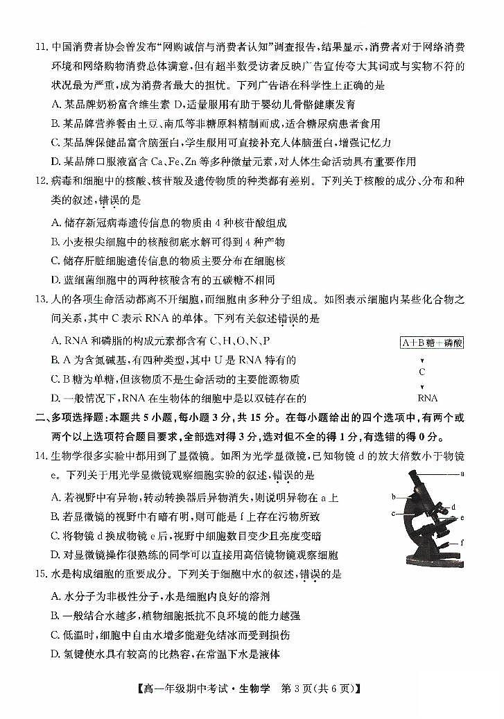 河北省沧州市沧州运东七县联考2023-2024学年高一上学期10月期中考试生物试题第3页