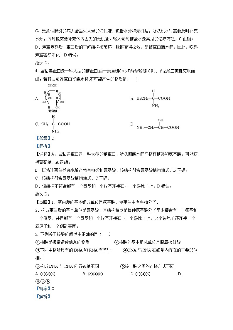 广东省东莞市东华高级中学2021-2022学年高一生物上学期中试题（Word版附解析）第3页