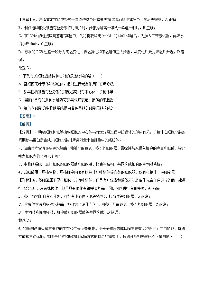广东省揭阳市惠来县一中2023-2024学年高三生物上学期第二次月考试题（Word版附解析）第2页