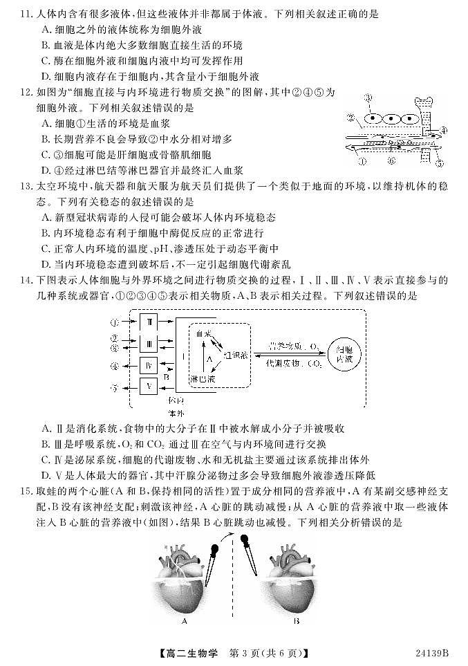 广东省深圳市深圳外国语中学2023-2024学年高二生物上学期10月月考试题（PDF版附答案）03