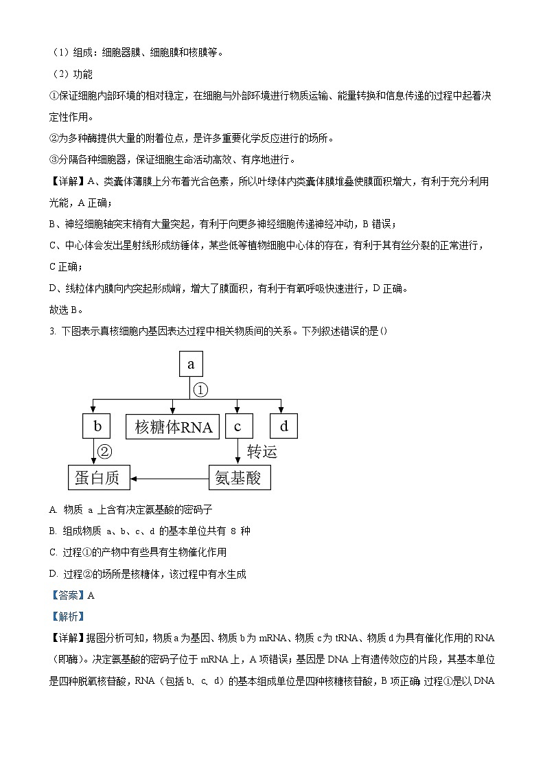 河南省实验中学2021-2022学年高三生物上学期期中试题（Word版附解析）02