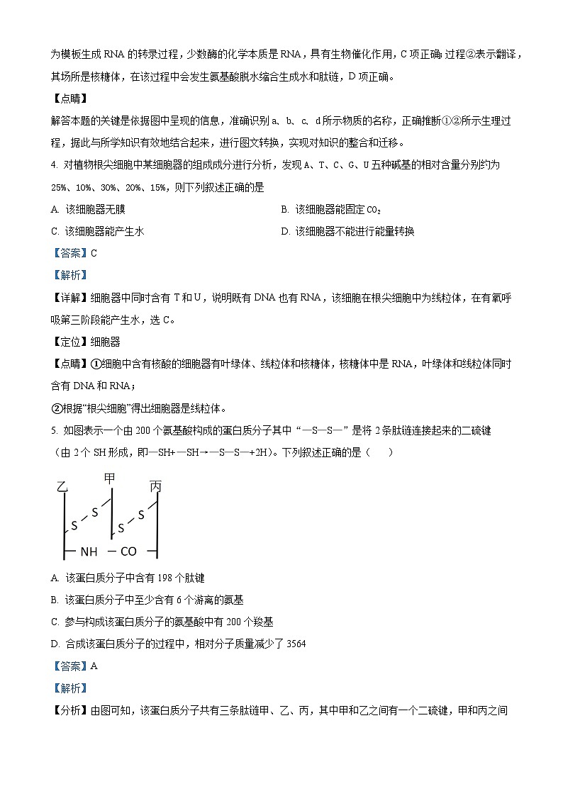 河南省实验中学2021-2022学年高三生物上学期期中试题（Word版附解析）03
