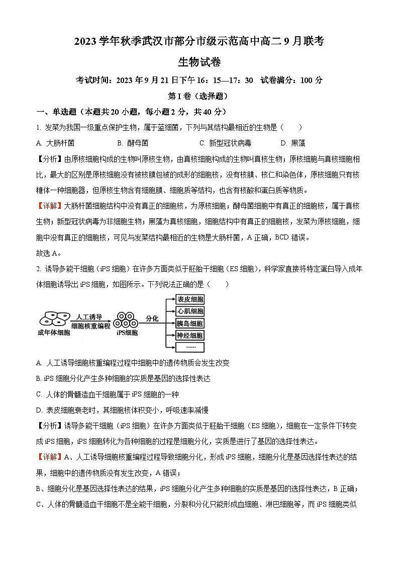 湖北省武汉市部分重点中学2023-2024学年高二上学期9月月考生物试题 Word版含解析01