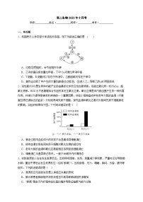 2024武汉四中高二上学期10月月考生物试题含解析