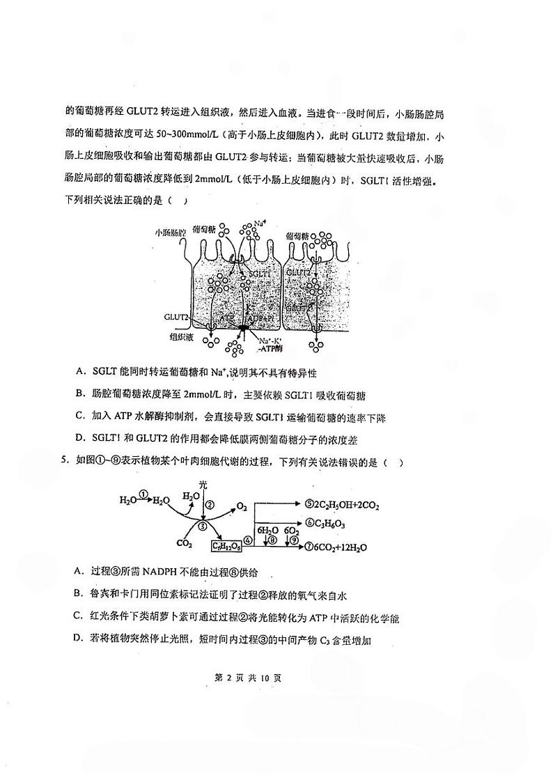 天津市南开中学2023-2024高三上学期第一次月考生物试卷含答案02