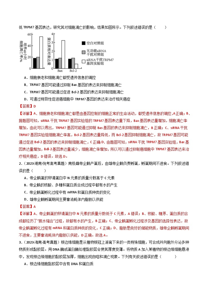 (2014-2023)高考生物真题汇编专题09 细胞的分化、衰老、凋亡及癌变（含解析）02