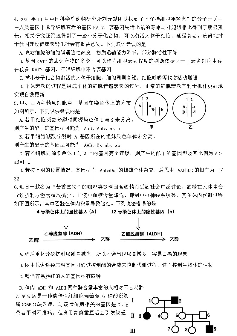 湖南省郴州市2024届高三上学期第一次教学质量监测试卷（10月）生物+Word版含答案03