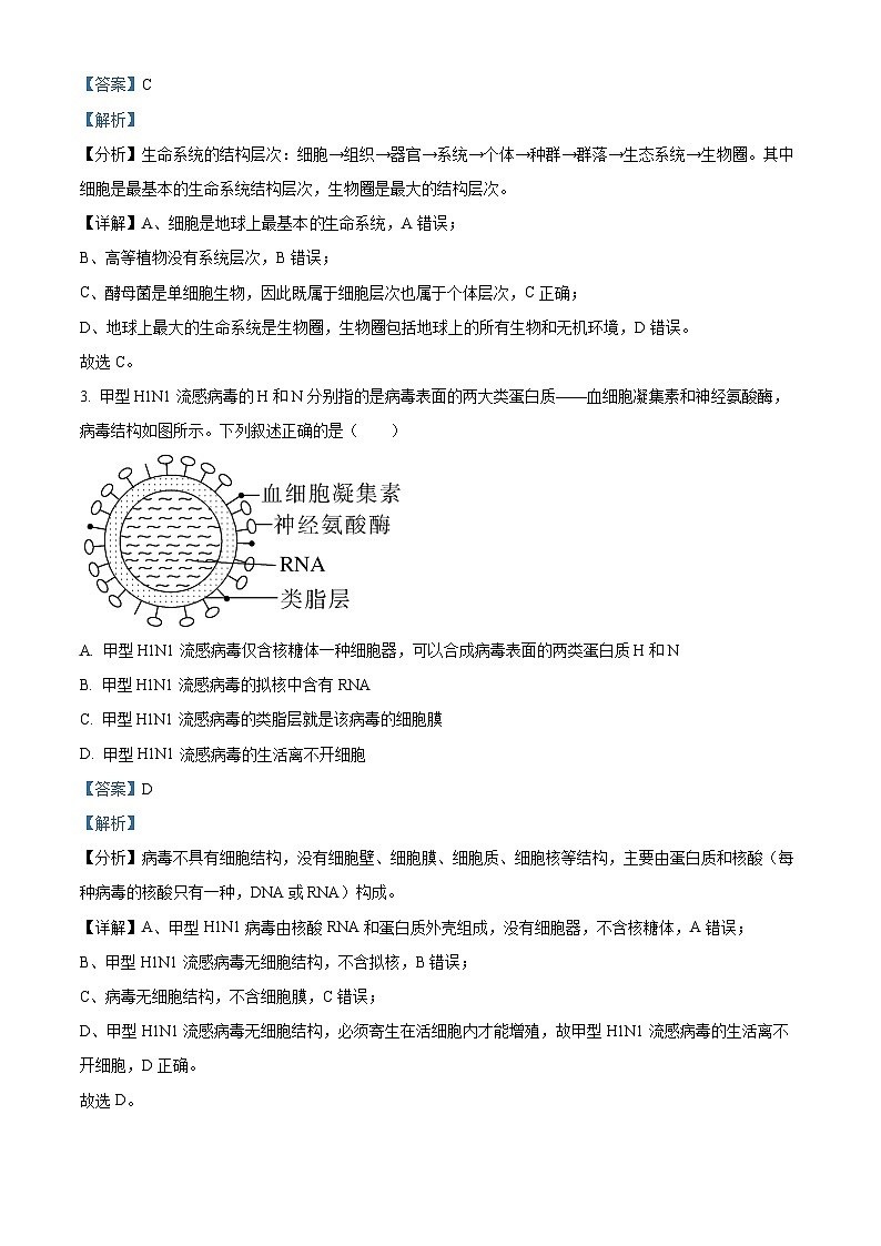 辽宁省辽东教学共同体2023-2024学年高一生物上学期10月联考试题（Word版附解析）第2页
