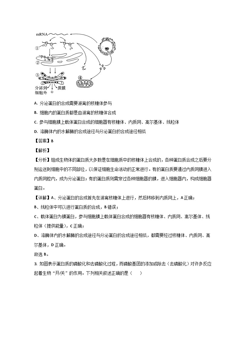 山东省菏泽市鄄城县一中2023届高三生物第三次模拟试题（Word版附解析）02