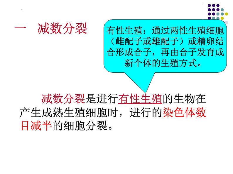 2.1 减数分裂和受精作用课件PPT第4页