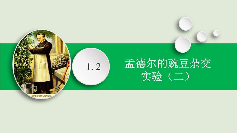 1.2孟德尔的豌豆杂交实验(二)课件PPT01