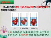 1.1+细胞生活的环境（第二课时）-【探究课堂】2023-2024学年高二生物上学期同步优质课件（人教版2019选择性必修1）