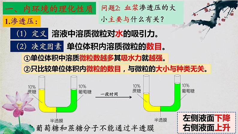 1.1+细胞生活的环境（第二课时）-【探究课堂】2023-2024学年高二生物上学期同步优质课件（人教版2019选择性必修1）07