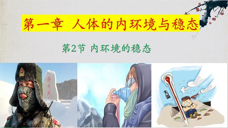 1.2+内环境的稳态-【探究课堂】2023-2024学年高二生物上学期同步优质课件（人教版2019选择性必修1）01