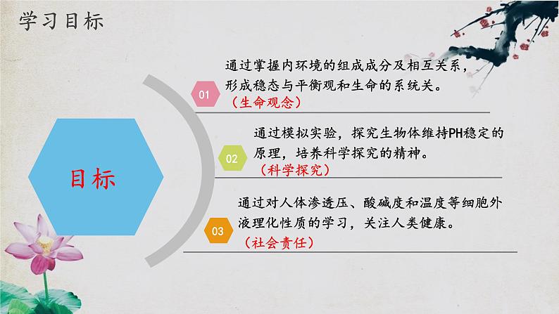 1.2+内环境的稳态-【探究课堂】2023-2024学年高二生物上学期同步优质课件（人教版2019选择性必修1）02