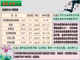 1.2+内环境的稳态-【探究课堂】2023-2024学年高二生物上学期同步优质课件（人教版2019选择性必修1）