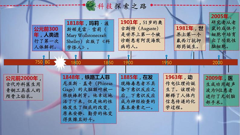 2.1+神经调节的结构基础-【探究课堂】2023-2024学年高二生物上学期同步优质课件（人教版2019选择性必修1）第2页