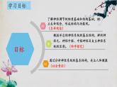 2.1+神经调节的结构基础-【探究课堂】2023-2024学年高二生物上学期同步优质课件（人教版2019选择性必修1）