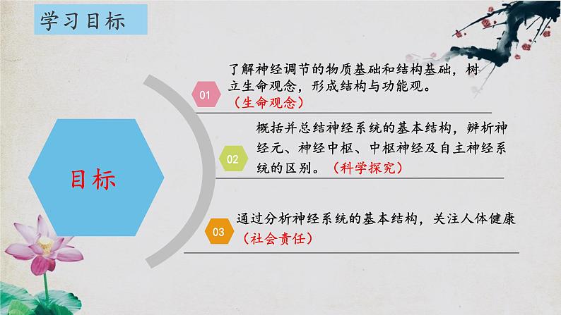 2.1+神经调节的结构基础-【探究课堂】2023-2024学年高二生物上学期同步优质课件（人教版2019选择性必修1）第3页