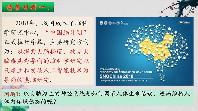 2.1+神经调节的结构基础-【探究课堂】2023-2024学年高二生物上学期同步优质课件（人教版2019选择性必修1）第4页