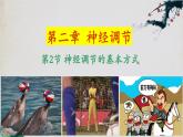 2.2+神经调节的基本方式-【探究课堂】2023-2024学年高二生物上学期同步优质课件（人教版2019选择性必修1）