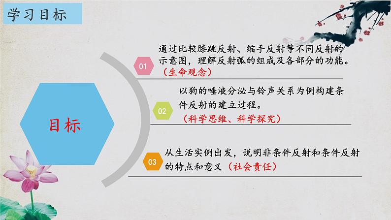 2.2+神经调节的基本方式-【探究课堂】2023-2024学年高二生物上学期同步优质课件（人教版2019选择性必修1）第2页