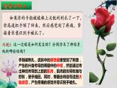 2.2+神经调节的基本方式-【探究课堂】2023-2024学年高二生物上学期同步优质课件（人教版2019选择性必修1）