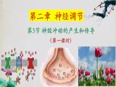 2.3+神经冲动的产生和传导（第一课时）-【探究课堂】2023-2024学年高二生物上学期同步优质课件（人教版2019选择性必修1）