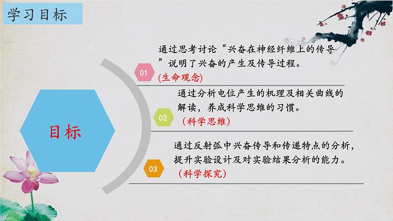 2.3+神经冲动的产生和传导（第一课时）-【探究课堂】2023-2024学年高二生物上学期同步优质课件（人教版2019选择性必修1）第2页