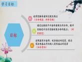 2.3+神经冲动的产生和传导（第二课时）-【探究课堂】2023-2024学年高二生物上学期同步优质课件（人教版2019选择性必修1）